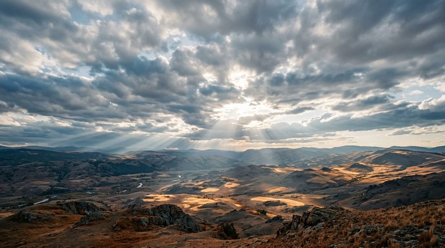 병신일주 이미지